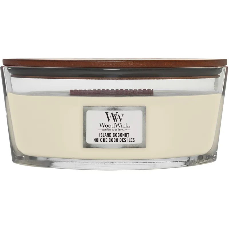 Bestseller Island Coconut Ellipse