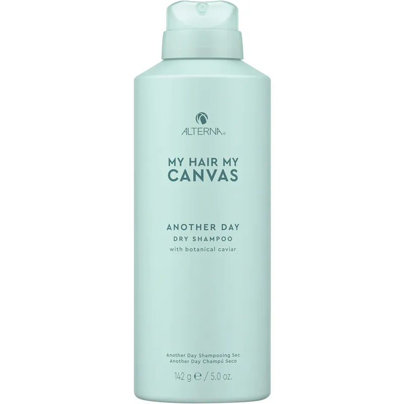 Aito My Hair My Canvas Another Day Dry Shampoo, 142g