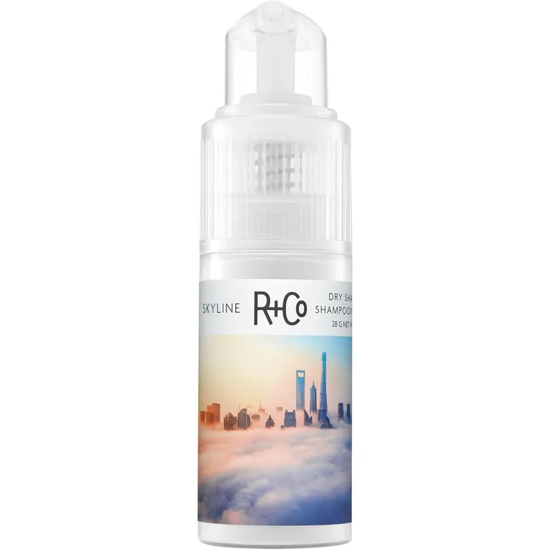 Älä Missaa Skyline Dry Shampoo Powder, 28g